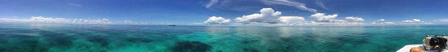 panorama1.jpg